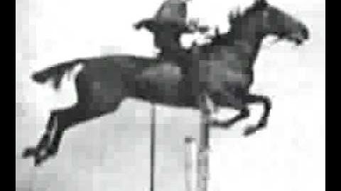 Muybridge horse jumping animated