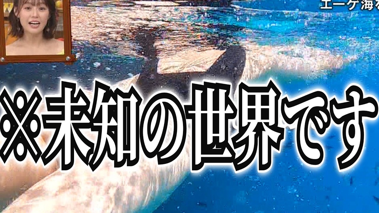神回】【2chボケて】可愛い殿堂入り爆笑ボケてがツッコミ満載すぎた