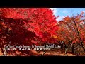 Japan's Best Autumn Colors : A First Walk Around Lake Momiji