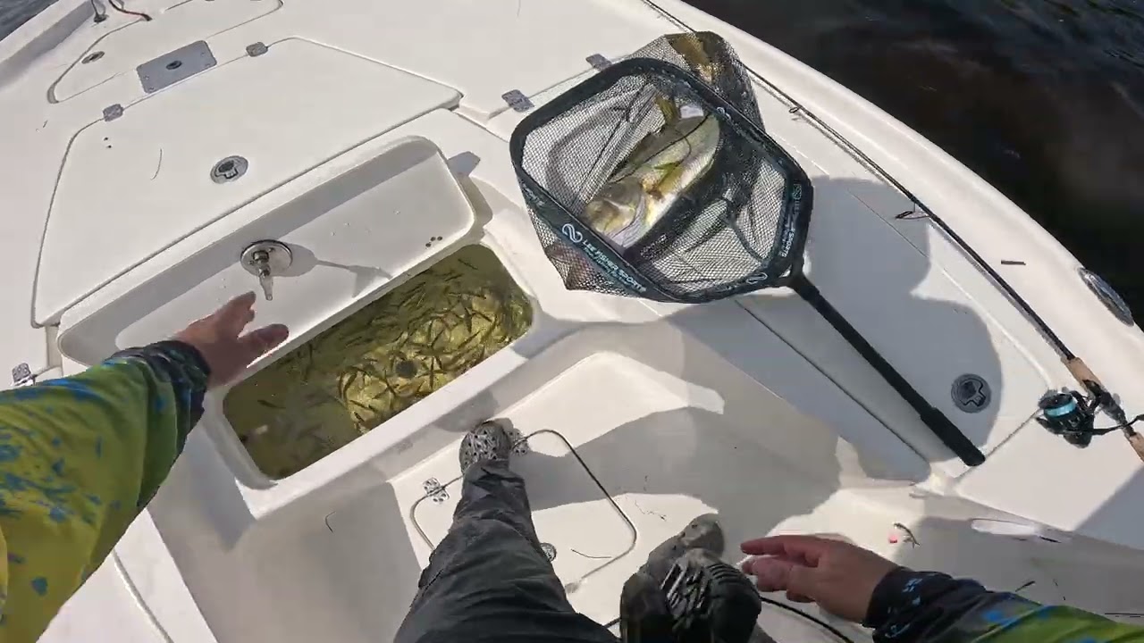 Слот Снук на солнечном мелководье — Паско