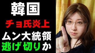 韓国大統領側近チョ・グク氏が疑惑、不正だらけで「たまねぎ男」の異名　政権に打撃が及ぶか考察