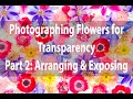 Photographing Flowers for Transparency Webinar | Part 2: Arranging and Exposing  | Harold Davis