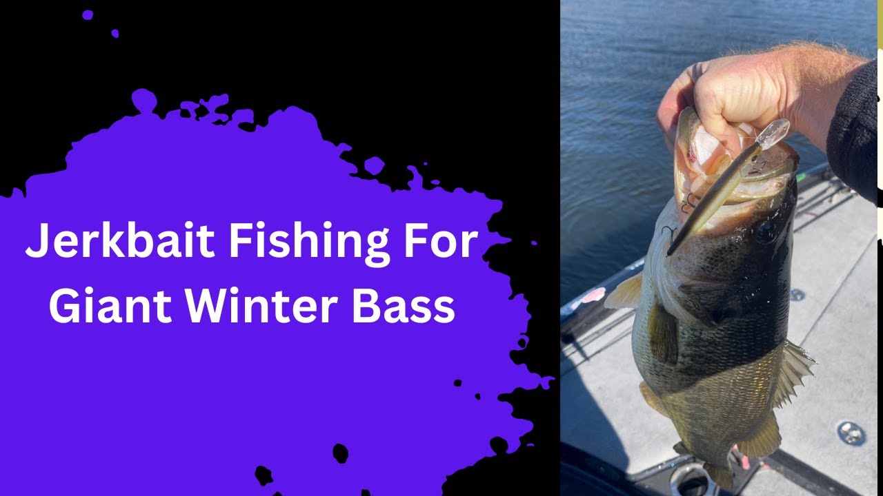 Jerkbait Fishing For Giant Winter Bass!