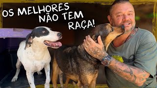 VISITANDO OS CÃES MAIS SIMPÁTICOS DA CASA DOS BICHOS