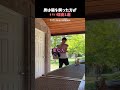 猫を飼った方がいい理由