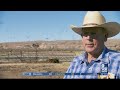 Cliven Bundy's cattle still graze on federal land 5 years after standoff