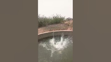 #challenge swimming pool jumping