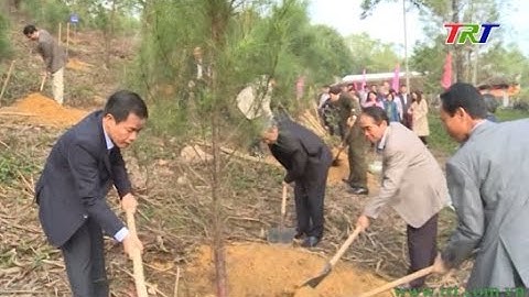 TT Huế: phát động Tết trồng cây đời đời nhớ ơn Bác Hồ