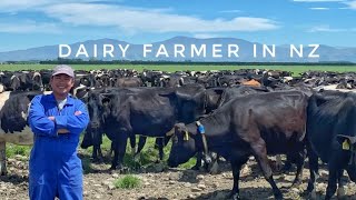 Dairy Farming in NZ 🇳🇿 Life of a dairy farmer | John Paul Cunanan