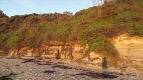Jenny Dixon Beach