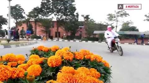 COMSATS University Lahore Campus