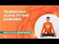 Падмасана. Асана от 1000 болезней