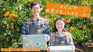 みっちゃん プレミアムな水・もの・暮らし |早生みかん 3kg【みかんのみっちゃん