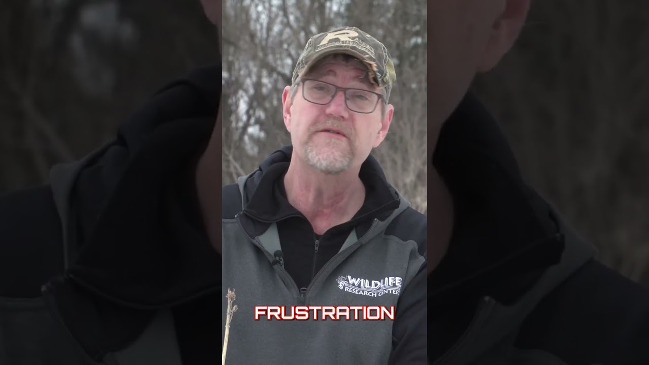 Reality vs. Expectation 