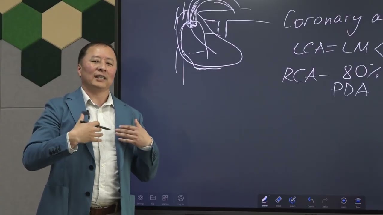 Зүрхний анатоми, цусан хангамж