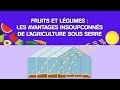 Fruits And Vegetables The Unexpected Advantages Of Greenhouse Farming 
