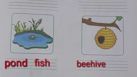 MLZS JHANSI CLASS 1  ENGLISH LITERATURE Chapter 1  Three Little Pigs Lecture 5 By Ms Sadhana Mishra