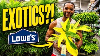 I Can t Believe Lowe s is Selling THEESE Plants Episode 11