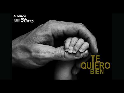 TE QUIERO BIEN - Alianza most wanted