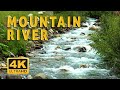 Mountain river stream in 4k. Relaxing birds and water ambience for sleeping, studying or meditation