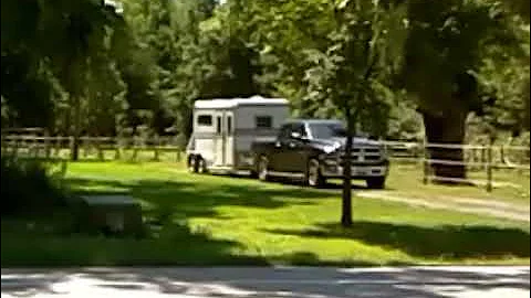 Neighbors moved out, written story coming soon. A ...