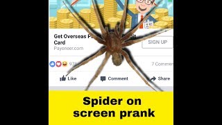 Spider on screen prank video screenshot 5