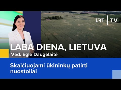 Video: Ar patirti nuostoliai apima ibnr?