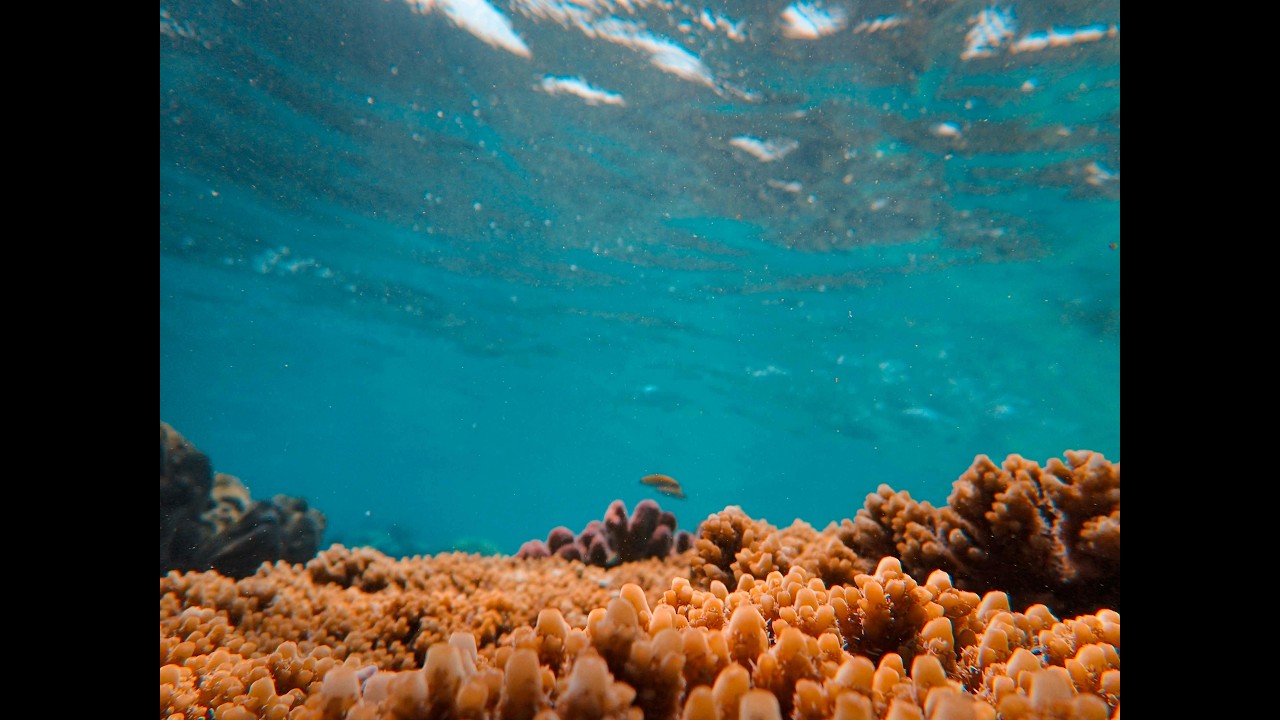 DASQ Push The Button Club Mix YouTube