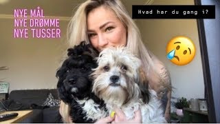 Uploads from Tabita Thinggaard Pedersen - YouTube