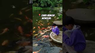 Download Lagu CANDI MUNCAR WONOGIRI#candi #candimunca#wisata #wisataalam MP3