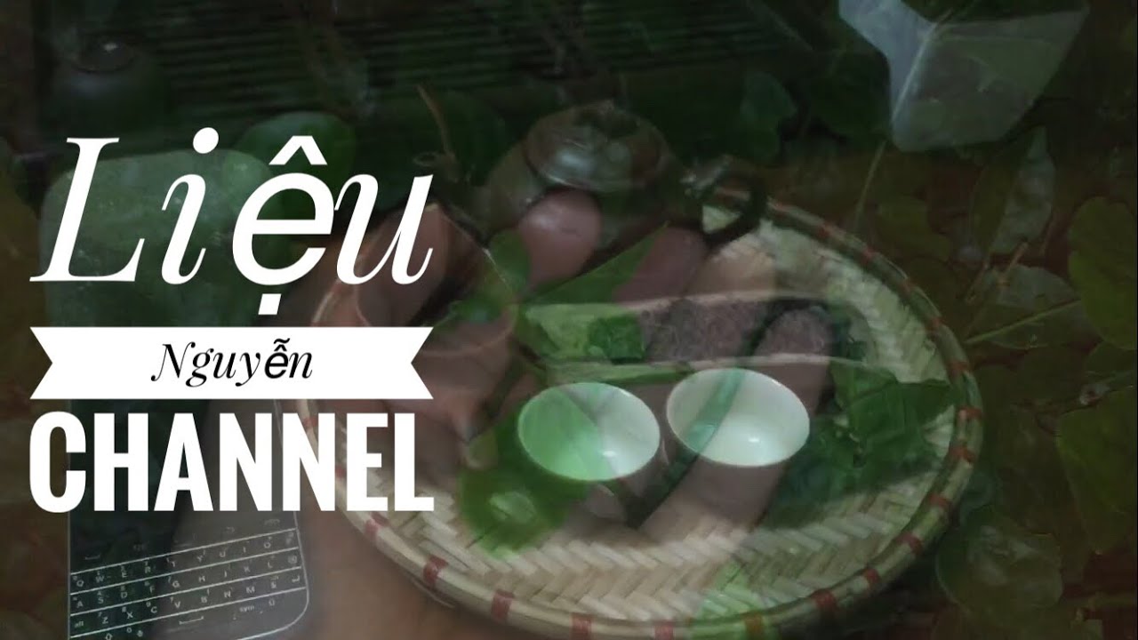 Bonsai.Trà Lá Nhài Đêm_Chứ Biết Làm Gì :)) - YouTube