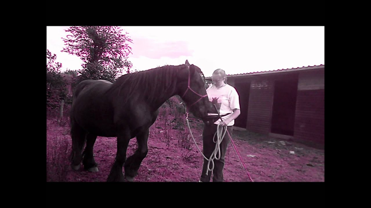 horseshoe bend Parelli with Duchess 06-08-12