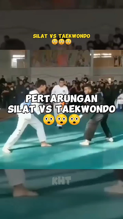 Silat VS Taekwondo, Who Win? 😳😳😳 #shorts #silat #taekwondo #psht