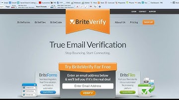 BriteVerify - Review & Introduction