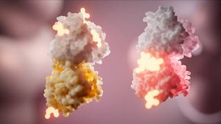 Medical 3D Animation | Selective Tubulin Inhibitor Mechanism of Action (MoA)