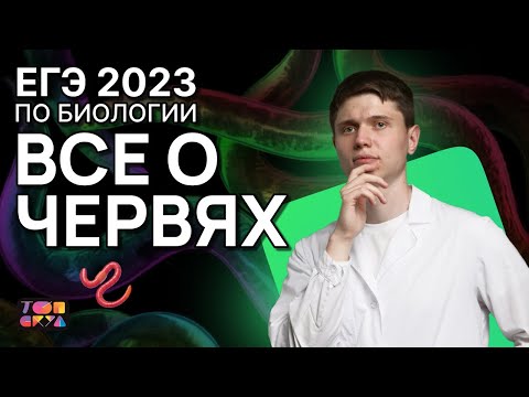 Все о червях ЕГЭ по биологии 2023 | Плоские, круглые и кольчатые черви