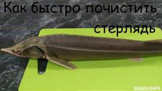 Как быстро почистить стерлядь 👍