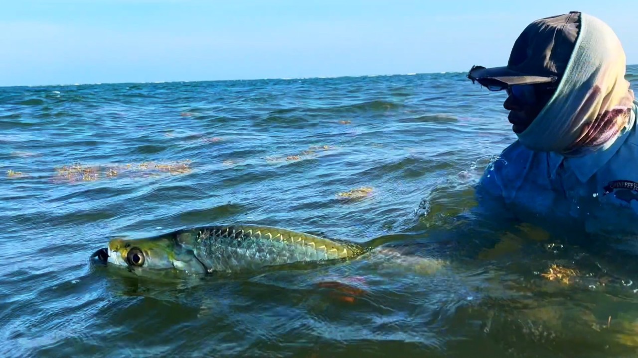 Fly Fishing for (Big) Tarpon (in Belize), a Primer