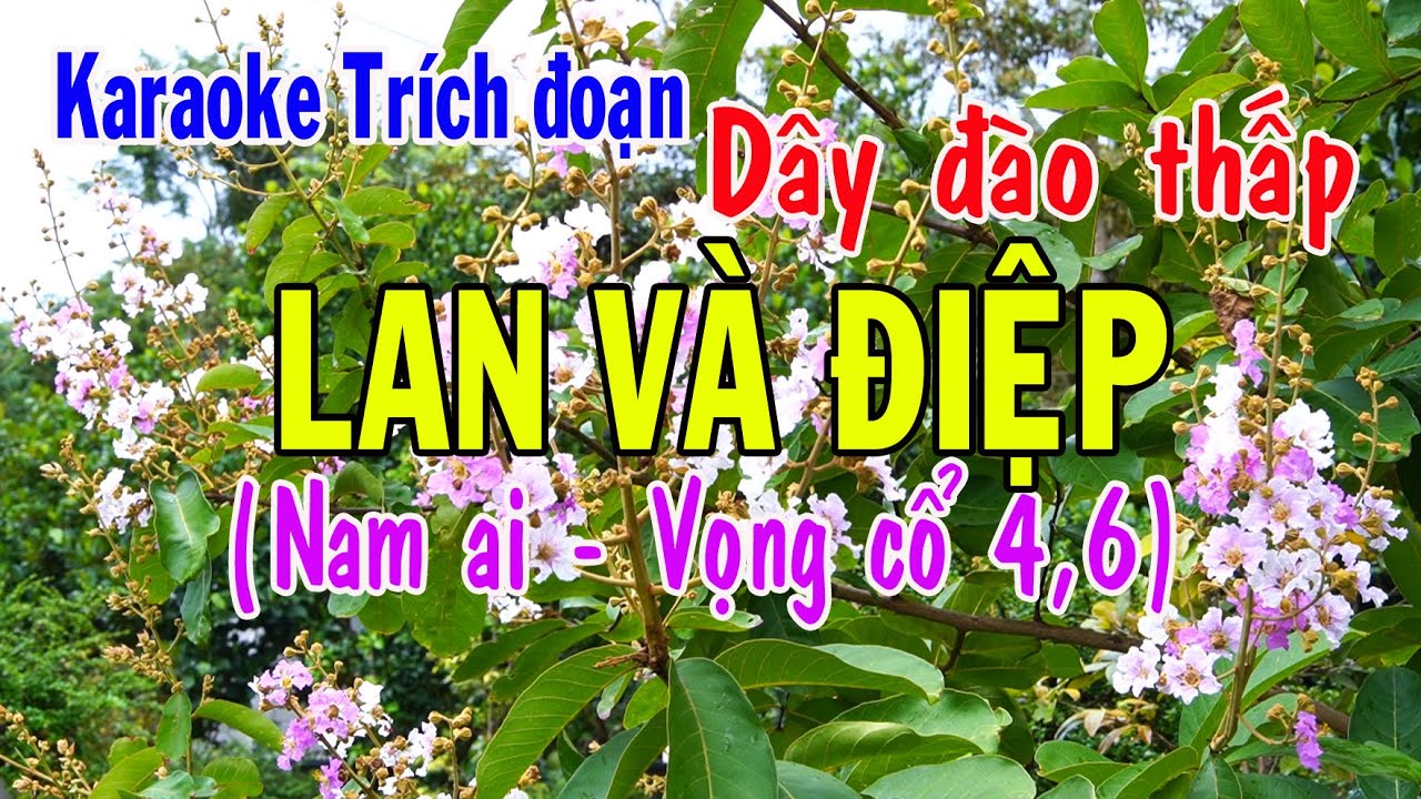 Karaoke Trích đoạn LAN VÀ ĐIỆP - DÂY ĐÀO THẤP