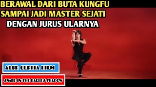 Di sinilah Jackie Chan pertama kali belajar kungfu | Sinopsis Film SNAKE IN THE EAGLE'S SHADOW (1...