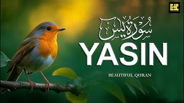 Surah Yaseen (Yasin) سورة يس | Ultimate Relaxing Quran Will Touch Your Heartإن شاء الله#surahyaseen