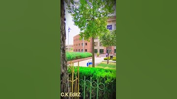 comsats University Islamabad Library views #comsats #university #yotubeshorts #shorts