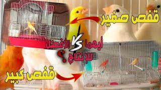 أفضل أقفاص لتزاوج وإنتاج من طيور الكناري??(قفص كبير VS قفص صغير)أيهما الأفضل للإنتاج?️??