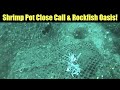 Shrimp Pot Close Call &amp; Rockfish Oasis! Underwater Fishing Footage! - Juneau, Alaska! AUGUST 2021