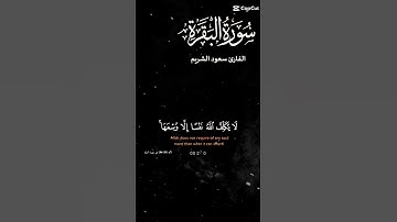 آمَنَ الرَّسُولُ بِمَا أُنْزِلَ إِلَيْهِ مِنْ رَبِّهِ وَالْمُؤْمِنُونَ #تلاوة_هادئة #قران_كريم