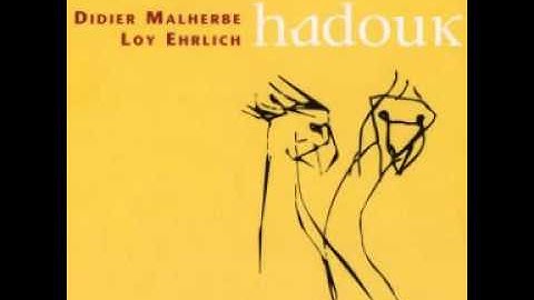 Didier Malherbe & Loy Ehrlich - Hadouk.wmv