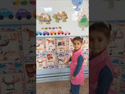 الأول والأخير قسم التحضيري  