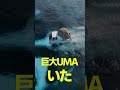 日本上空撮影！未知なる巨大UMAダンクルオステウスの影 #ダンクルオステウス #巨大UMA #日本上空 #UMA発見 #伝説の生物 #Dunkleosteus #GiantUMA #JapanSky