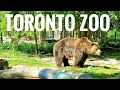 Toronto zoo full tour in 4k  complete walkthrough tour of toronto zoo ontario  canada