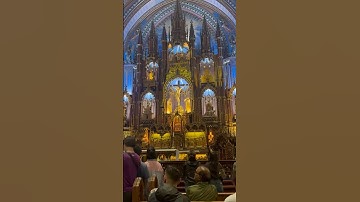 Notre-Dame Basilica of Montreal ! One of the magical place to be